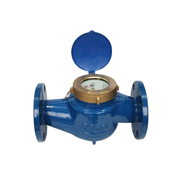 Water Meter Amico LXSG-50E Size 2 Inch